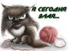 Аватар для Zlaja