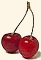 Аватар для Wild Cherry