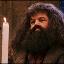 Аватар для Hagrid